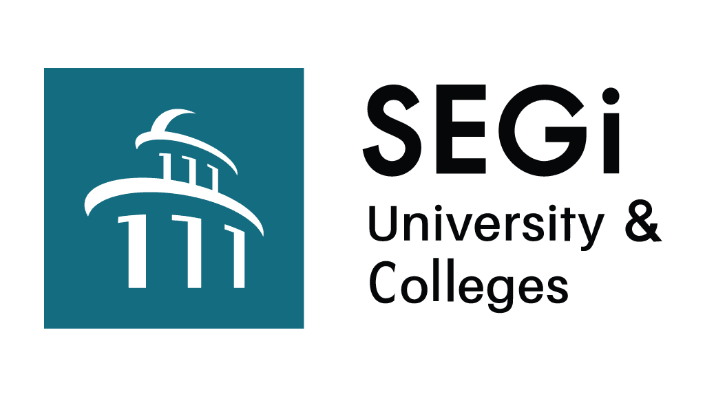 6.Segi_.png